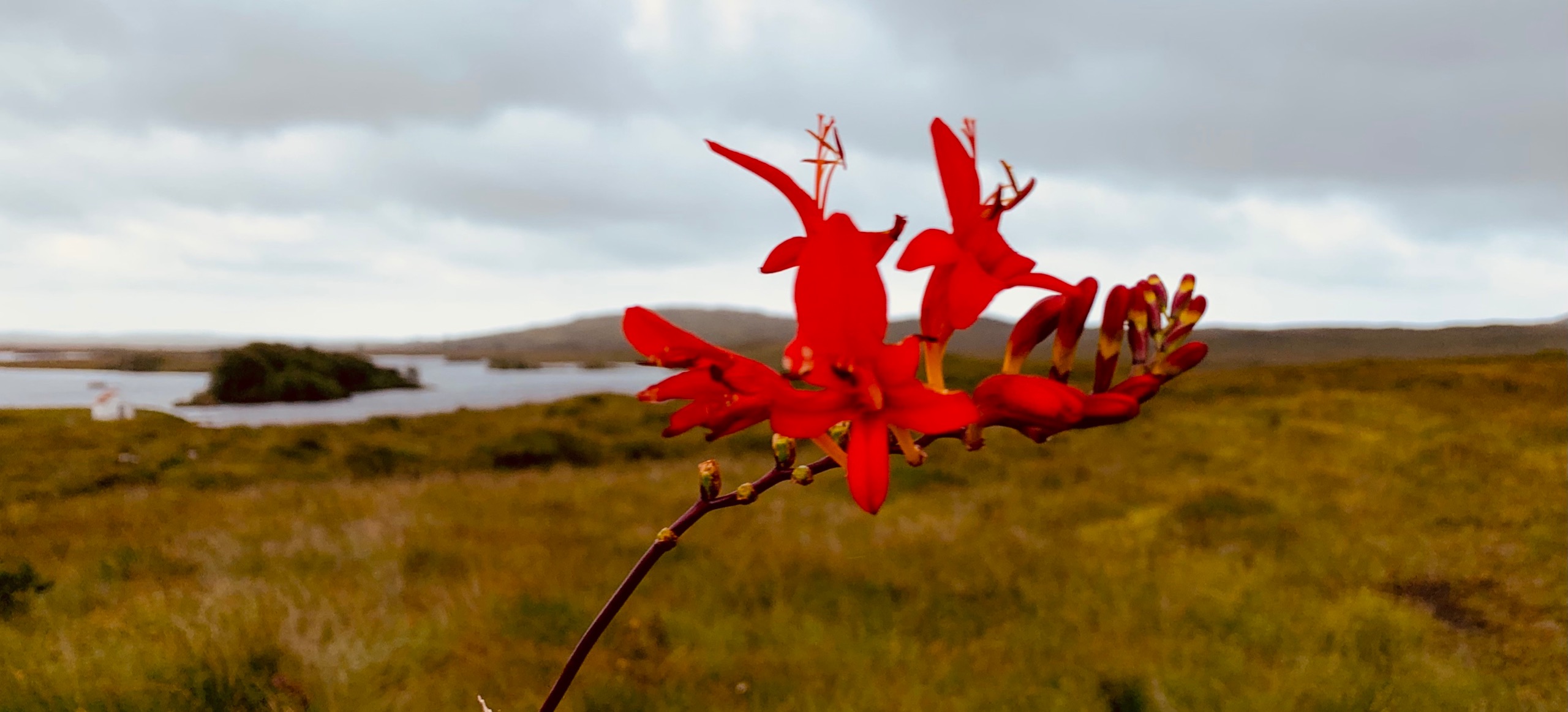 Connemara - Land der Moor und Löcher